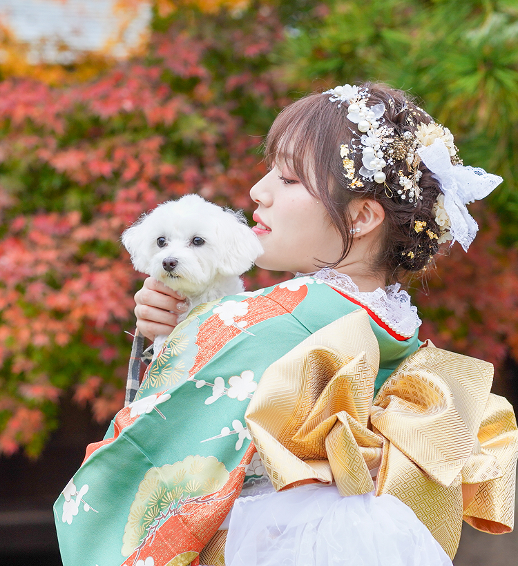 プラン作例